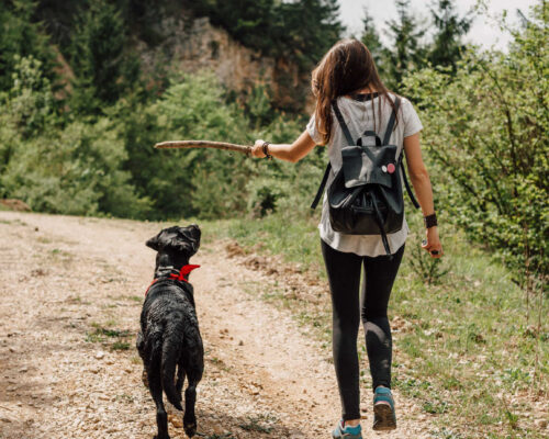 woman with a dog on a hike